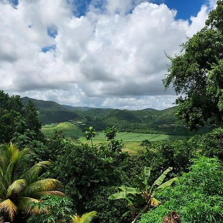 Appartement T2 Le Vallon Au Marin Martinique Le Marin Zewnętrze zdjęcie