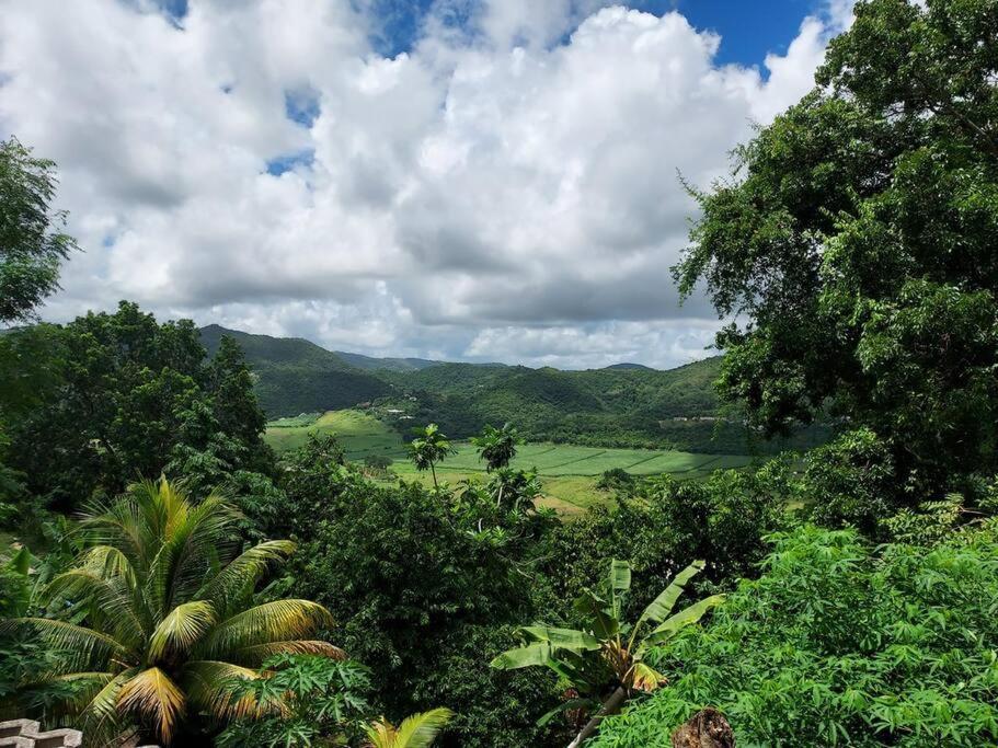 Appartement T2 Le Vallon Au Marin Martinique Le Marin Zewnętrze zdjęcie